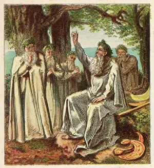 Druid: Druids