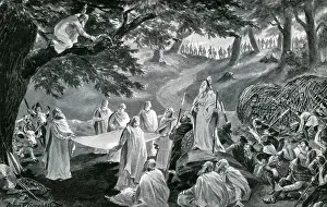 Druid: Druids cut mistletoe