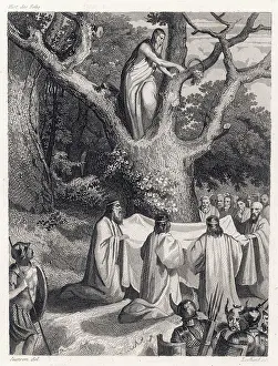 Druid: Druids cut the sacred mistletoe