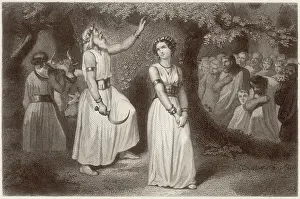 Druid: Druids gathering the sacred mistletoe