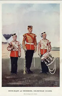 Drummer: Drum-Major and Drummers, Coldstream Guards