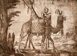 Melchior: Drummer Rides Camel