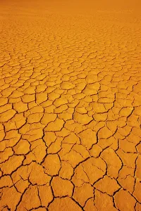 Accord: Dry Cracked