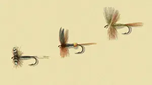 Atherton: Three Dry Flies