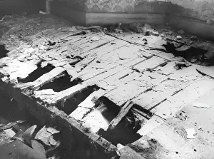 Timbers: DRY ROT