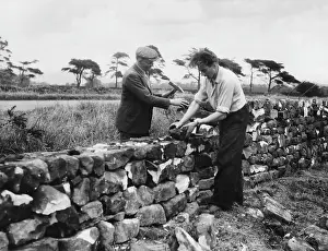 Walling: DRY STONE WALLING