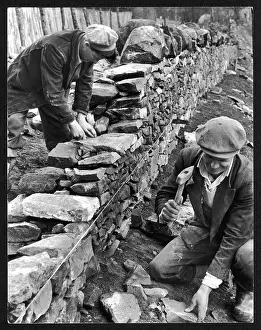 Selkirkshire: DRY STONE WALLING