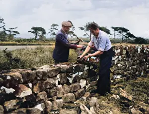 Walling: DRY STONE WALLING