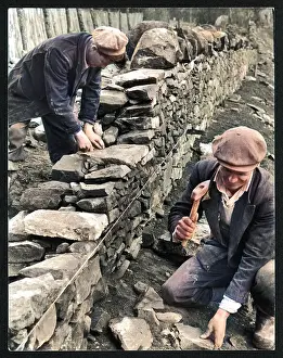 Selkirkshire: DRY STONE WALLING