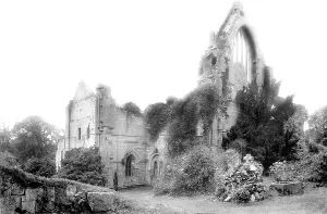 Dryburgh: Dryburgh, the Abbey 1897