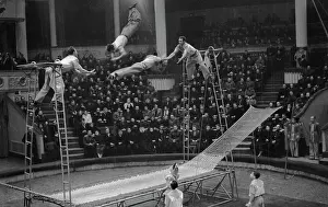 Trampoline: Drygins acrobats