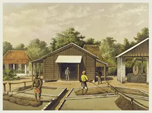 Sumatra: DRYING COFFEE BEANS