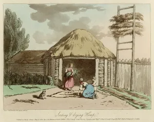 Cultivating: DRYING HEMP, RUSSIA