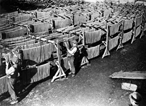 Macaroni: DRYING MACARONI