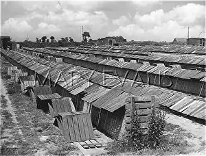 Brickmaking: DRYING MOULDED CLAY