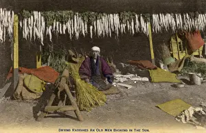 Radish: Drying radishes in the sun - Japan