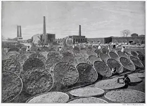 Exposed: Drying Silk Cocoons in India