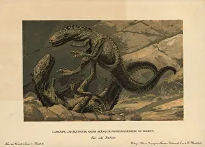 Tiere: Dryptosaurus aquilunguis, extinct genus of