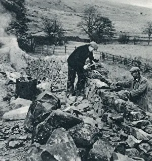 Boulders: Drystone Walls of the North