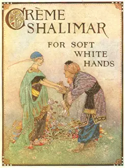 Stooped: Dubarry Creme Shalimar Advertisement