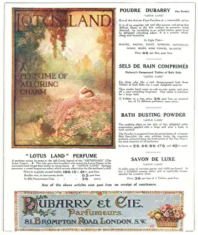 Dubarry: Dubarry et Cie Advertisement
