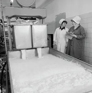 Accountant: Dubki commercial dairy farm