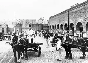 Dray: Dublin Guinness Brewery early 1900s