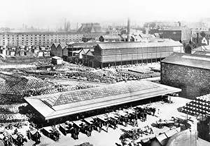 Dray: Dublin Guinness Brewery early 1900s