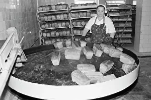 Skilled: Dubrovo Bakery