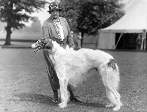 Borzoi: DUCH NEWCASTLE BORZOI