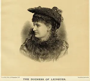 Leinster: DUCHESS OF LEINSTER