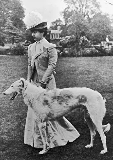 Borzoi: DUCHESS NEWCASTLE DOG 1