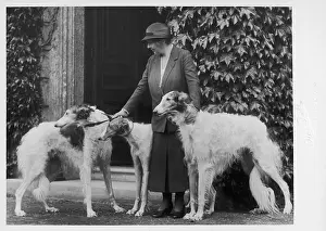 Borzois: DUCHESS NEWCASTLE DOG 2
