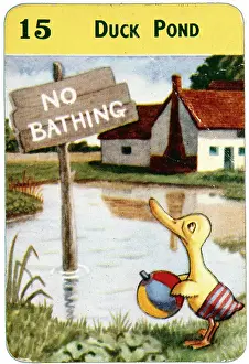 Disappointed: Duck and duck pond