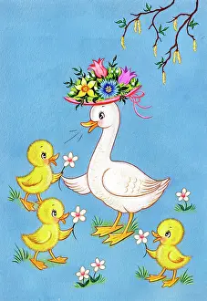 Adair: Duck and three ducklings