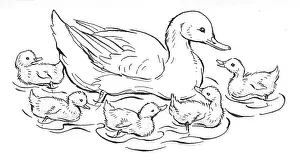 Storycard: Duck and five ducklings