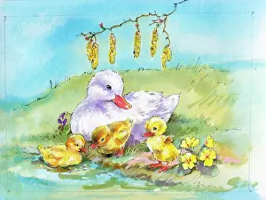 Matthes: Duck with three ducklings in spring setting