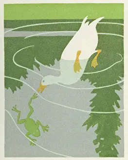 Ripples: A duck and a frog
