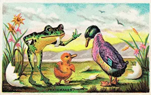 Peacemaker: Duck, frog and duckling on a comic card
