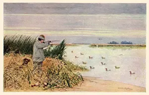 Aims: Duck Hunter