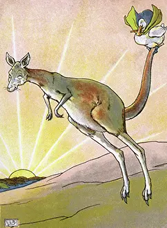 Bouncing: The Duck and the Kangaroo - Edward Lear