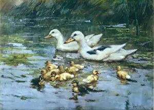 Hulk: The Duck Pond