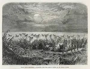 Deception: Duck shooting with decoys