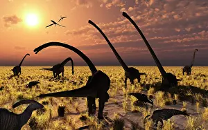 Omeisaurus: Duckbill dinosaurs and large sauropods share a feeding ?