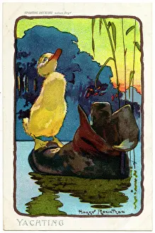 Rountree: Duckling on a floating boot - Yachting