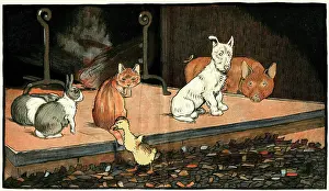 Timid: The duckling joins the other animals by the fire