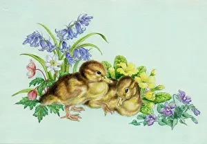 Windflowers: Two ducklings with bluebells, windflowers etc