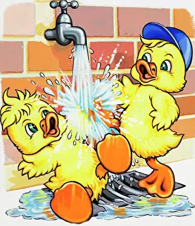 Gush: Ducklings discover how to use a tap