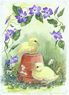 Upturned: Two Ducklings and Periwinkle