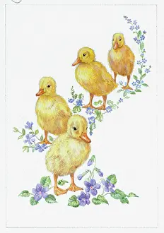 Periwinkle: Four Ducklings with violets, periwinkles etc